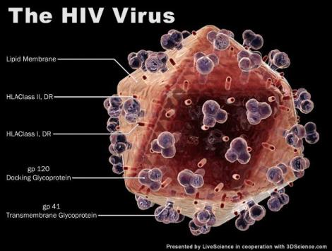 Noi sperante contra virusului HIV