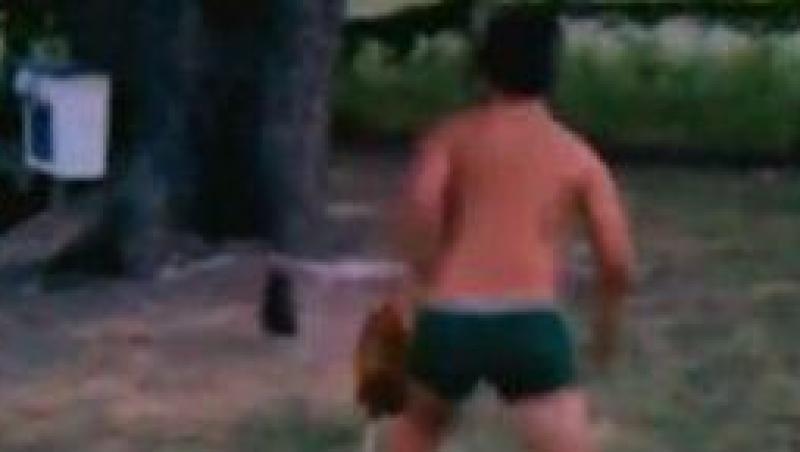 VIDEO! Vezi copilul care a fost atacat de cocos!