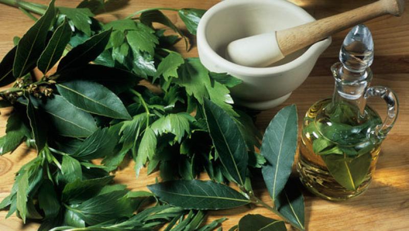Trei plante aromate folosite la gatit, cu beneficii asupra sanatatii