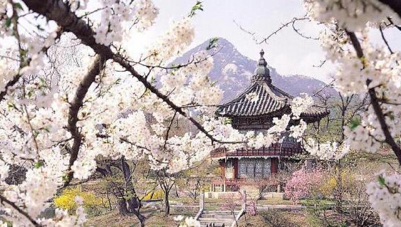 Calatorii in jurul lumii: inedit despre traditiile coreene (I)