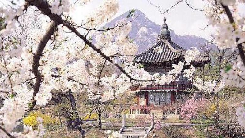 Calatorii in jurul lumii: inedit despre traditiile coreene (I)