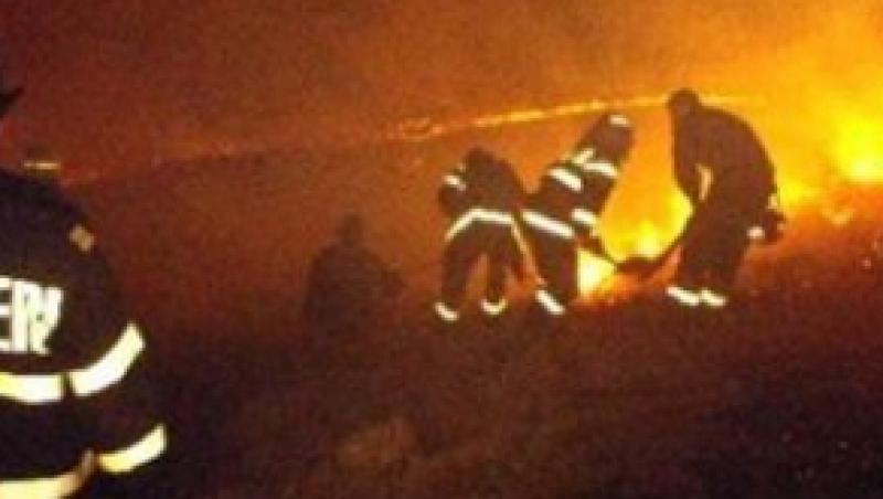 Constanta: Un incendiu puternic de miriste a izbucnit in localitatea Vadu