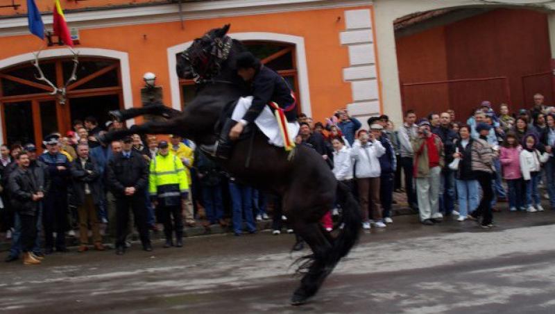 Un cal a ranit sase persoane, in timpul unui concert electoral