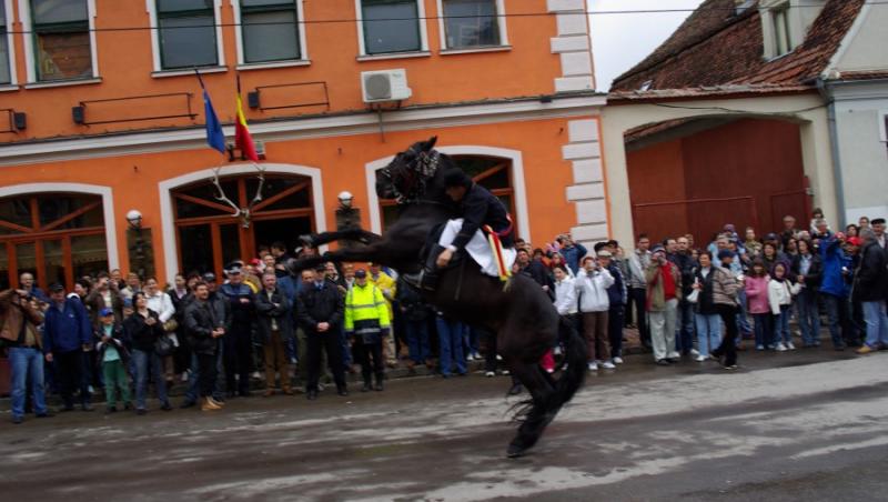 Un cal a ranit sase persoane, in timpul unui concert electoral