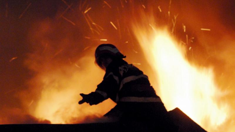 Incendiul care a distrus cateva sute de hectare de stuf in localitatea Vadu a fost izolat