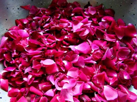 Petalele de trandafir, un remediu natural impotriva multor probleme de sanatate