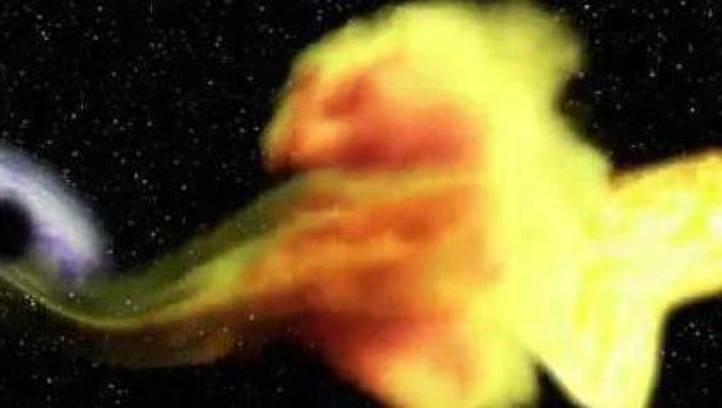 VIDEO! Spectacol in Univers: O stea a fost inghitita de o gaura neagra