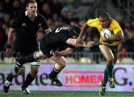 Rugby: Australia a castigat Tri-Nations