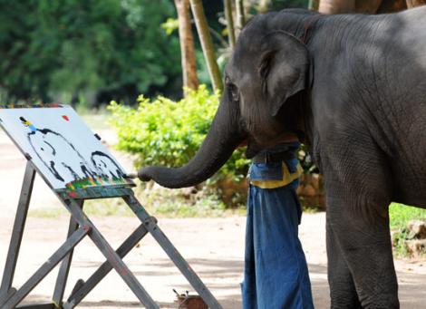 Elefantii - talentati la pictura?