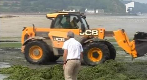 VIDEO! Invazie de alge si in Franta, pe plajele din Bretania