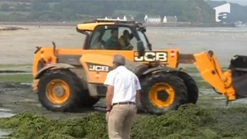 VIDEO! Invazie de alge si in Franta, pe plajele din Bretania