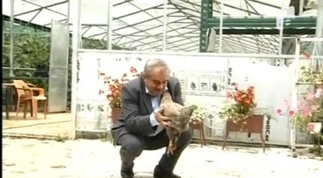 VIDEO! Hunedoara: Gaina, un nou animal de companie