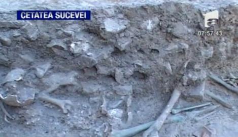 VIDEO! Cimitir medieval descoperit sub Cetatea de Scaun a Sucevei
