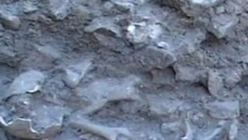 VIDEO! Cimitir medieval descoperit sub Cetatea de Scaun a Sucevei