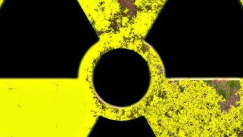 Suedia: Un barbat planuia sa-si construiasa un reactor nuclear in bucatarie