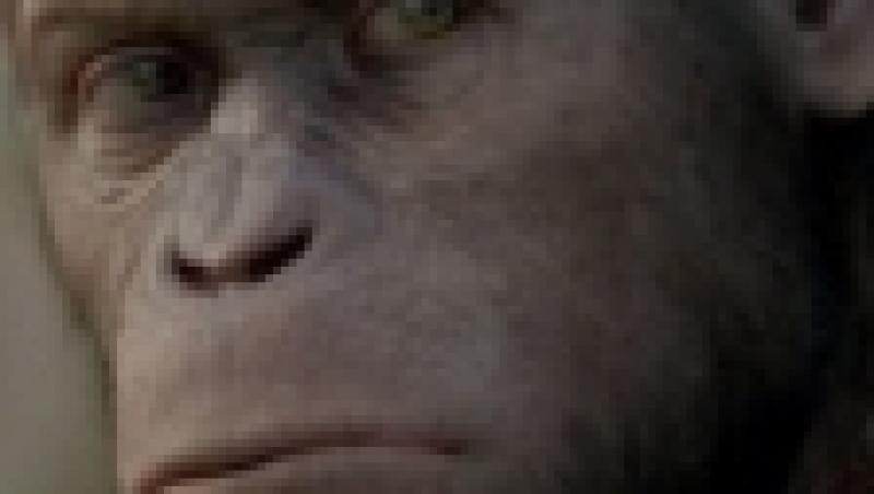 Planeta Maimutelor: Invazia (AP-12)