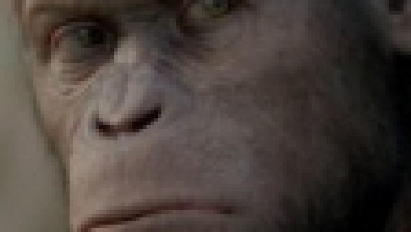 Planeta Maimutelor: Invazia (AP-12)