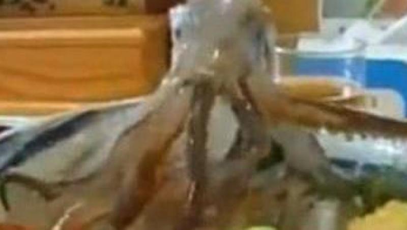 VIDEO! Vezi cum arata cel mai inedit preparat japonez, caracatita dansatoare cu orez