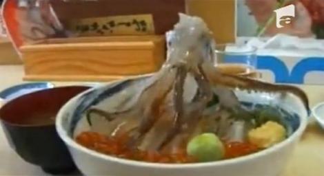 VIDEO! Vezi cum arata cel mai inedit preparat japonez, caracatita dansatoare cu orez