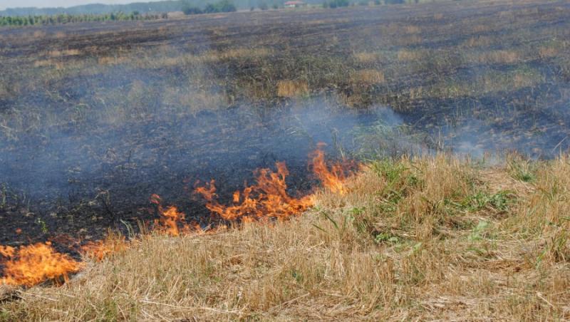Vaslui: Un incendiu de proportii a distrus peste 90 de hectare de miriste