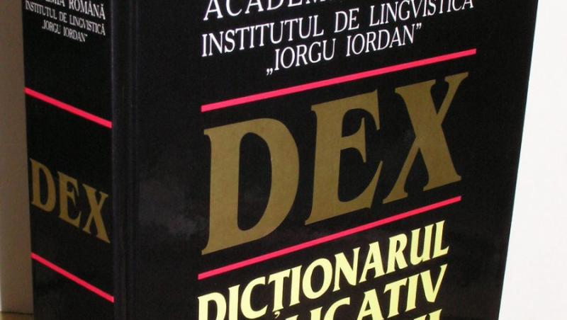 Evreii cer Academiei Romane schimbarea definitiei cuvantului “jidan” din DEX