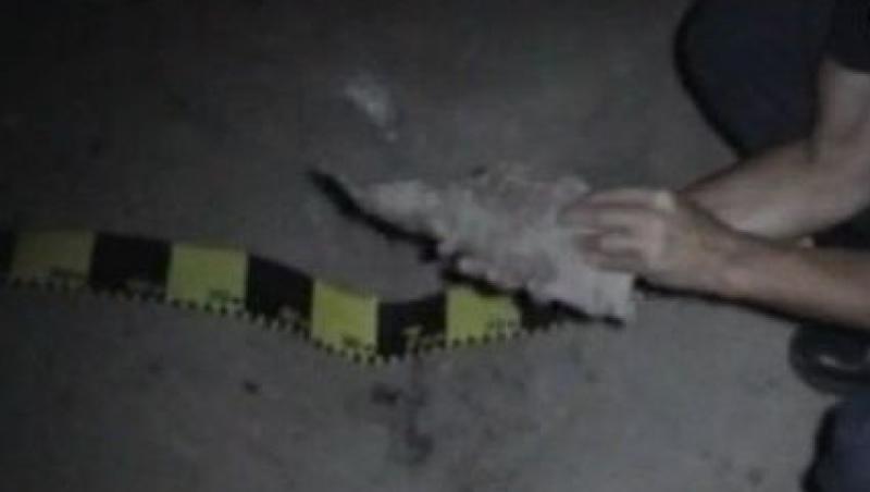 VIDEO! Un ialomitean a murit dupa ce taiat un proiectil cu flexul pentru fier vechi