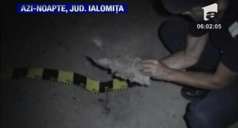 VIDEO! Un ialomitean a murit dupa ce taiat un proiectil cu flexul pentru fier vechi