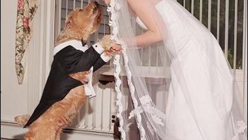 FOTO! Ritualuri ciudate la nunta