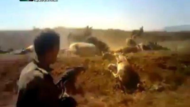 IMAGINI SOCANTE! Soldati sirieni, filmati in timp ce mitraliaza 13 magari
