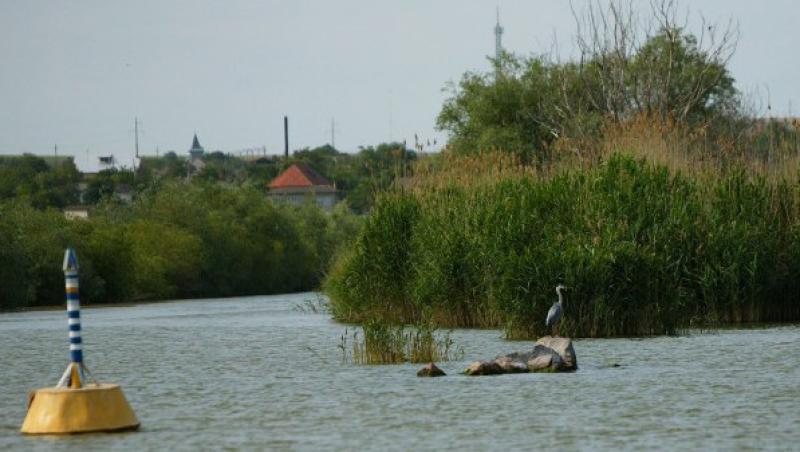 VIDEO! Blocaj total pe Dunare din cauza nivelului apei