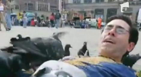 VIDEO! Dragoste inedita pentru pasari, in Amsterdam