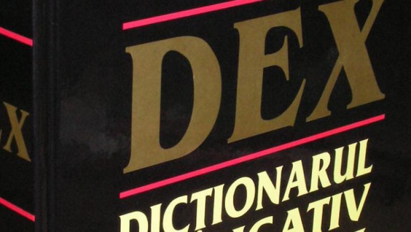Academia Romana: Definitiile din DEX ale cuvintelor „tigan“ si „jidan“, modificate