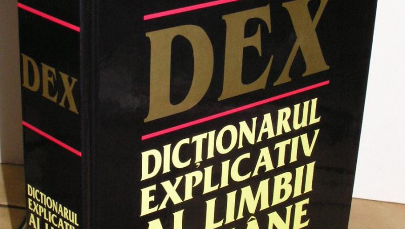 Academia Romana: Definitiile din DEX ale cuvintelor „tigan“ si „jidan“, modificate