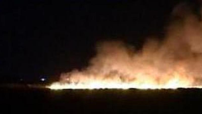 VIDEO! Incendii devastatoare in Calarasi si Brasov: 80 de hectare distruse