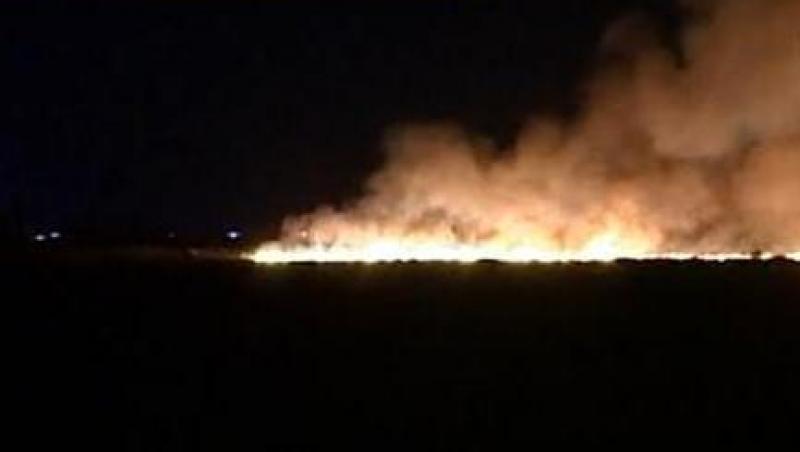 VIDEO! Incendii devastatoare in Calarasi si Brasov: 80 de hectare distruse