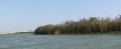 Primaria din Navodari vrea sa vanda insula Ada din mijlocul lacului Tasaul