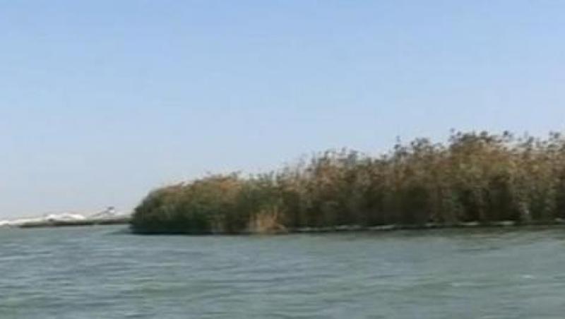 Primaria din Navodari vrea sa vanda insula Ada din mijlocul lacului Tasaul
