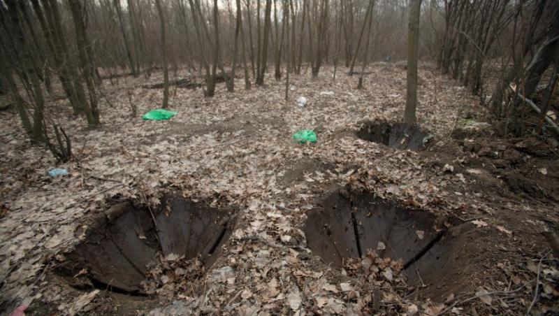 7,2 hectare de padure, defrisate pentru a face loc unei partii de schi langa Slanic Moldova