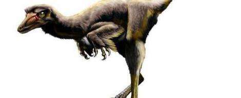 Fosilele unui dinozaur vechi de 75 de milioane de ani, descoperite in SUA