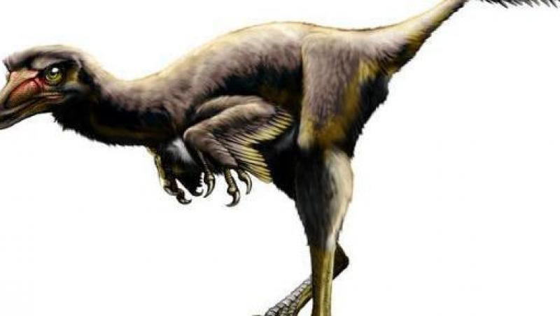 Fosilele unui dinozaur vechi de 75 de milioane de ani, descoperite in SUA