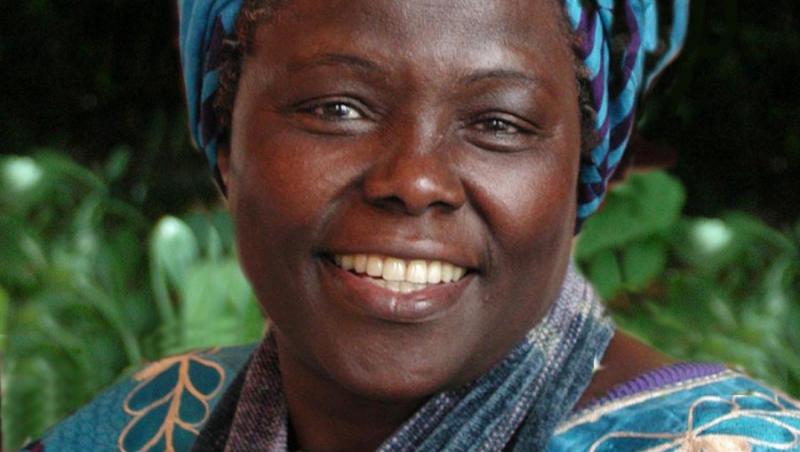 A murit Wangari Maathai, prima femeie de origine africana laureata la Premiul Nobel