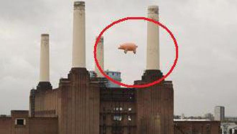 VIDEO! Porc zburator deasupra Londrei