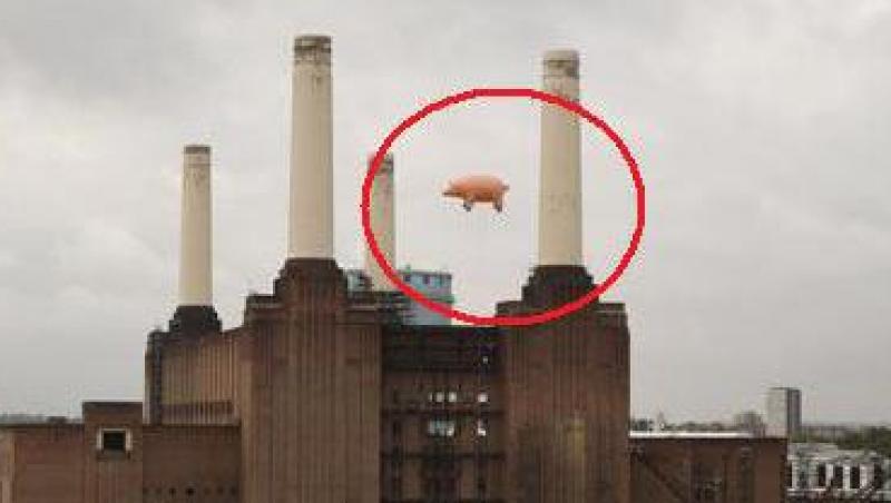 VIDEO! Porc zburator deasupra Londrei