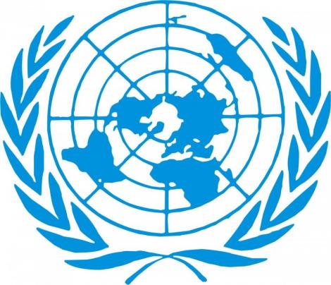 VIDEO! Bataie la ONU, intre bodyguarzii premierului turc si agentii de securitate