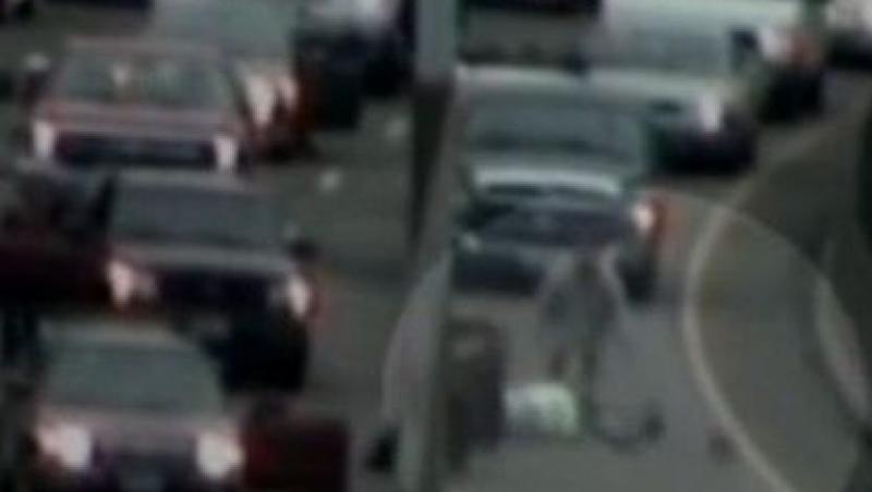 VIDEO! O catelusa a oprit toate masinile pe o autostrada din SUA