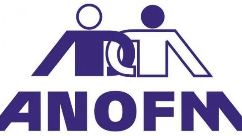 ANOFM: S-au ocupat 65% din posturile programate pentru 2011