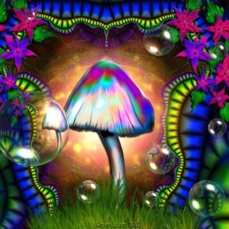 Studiu: O singura doza de ciuperci halucinogene poate altera personalitatea