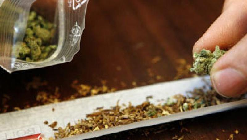 Olanda: Cannabis interzis cetatenilor straini