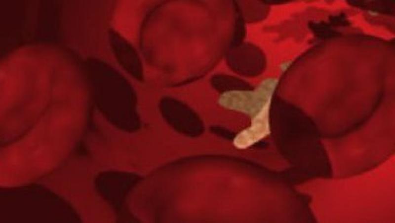Globulele rosii create in laborator, similare cu cele normale