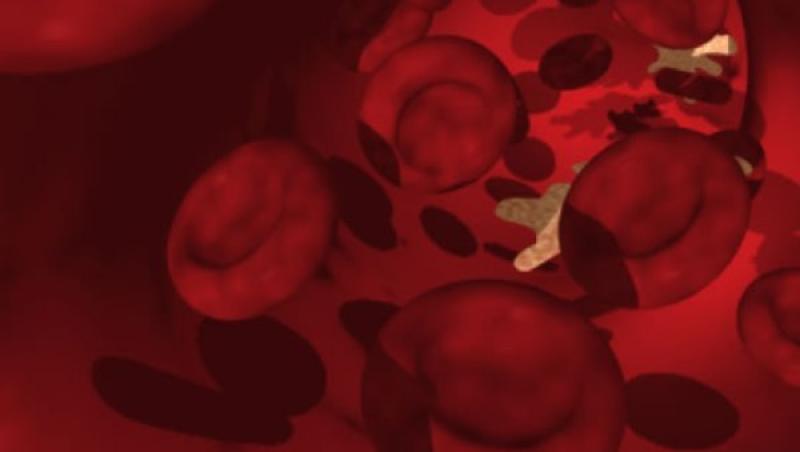 Globulele rosii create in laborator, similare cu cele normale